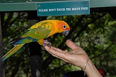 0699 Birdworld Kuranda